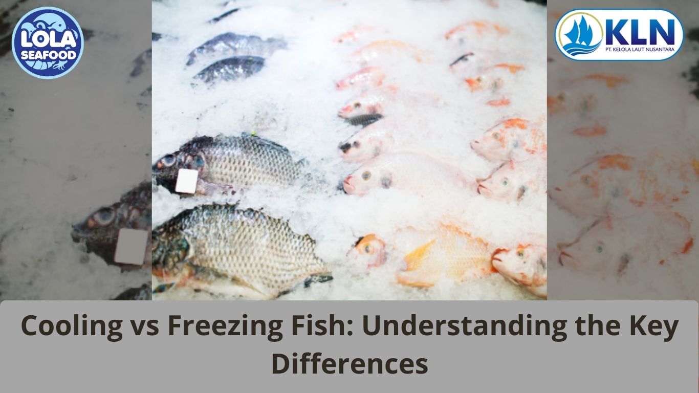 Cooling vs Freezing Fish: Understanding the Key Differences